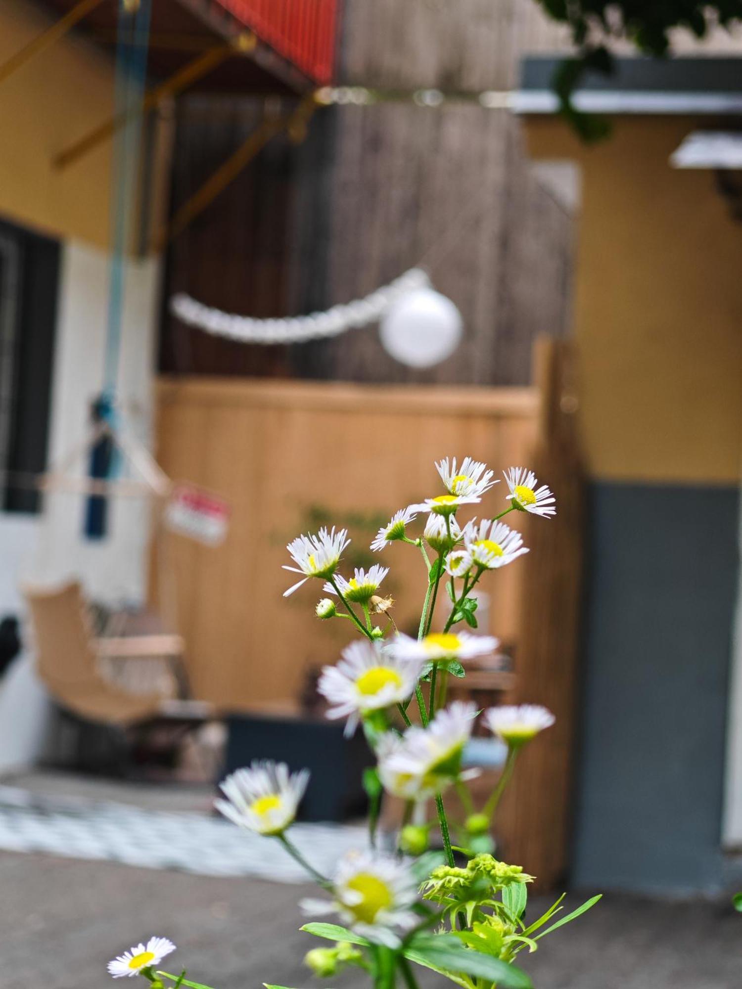 Vintage Room With Garden View Братислава Экстерьер фото