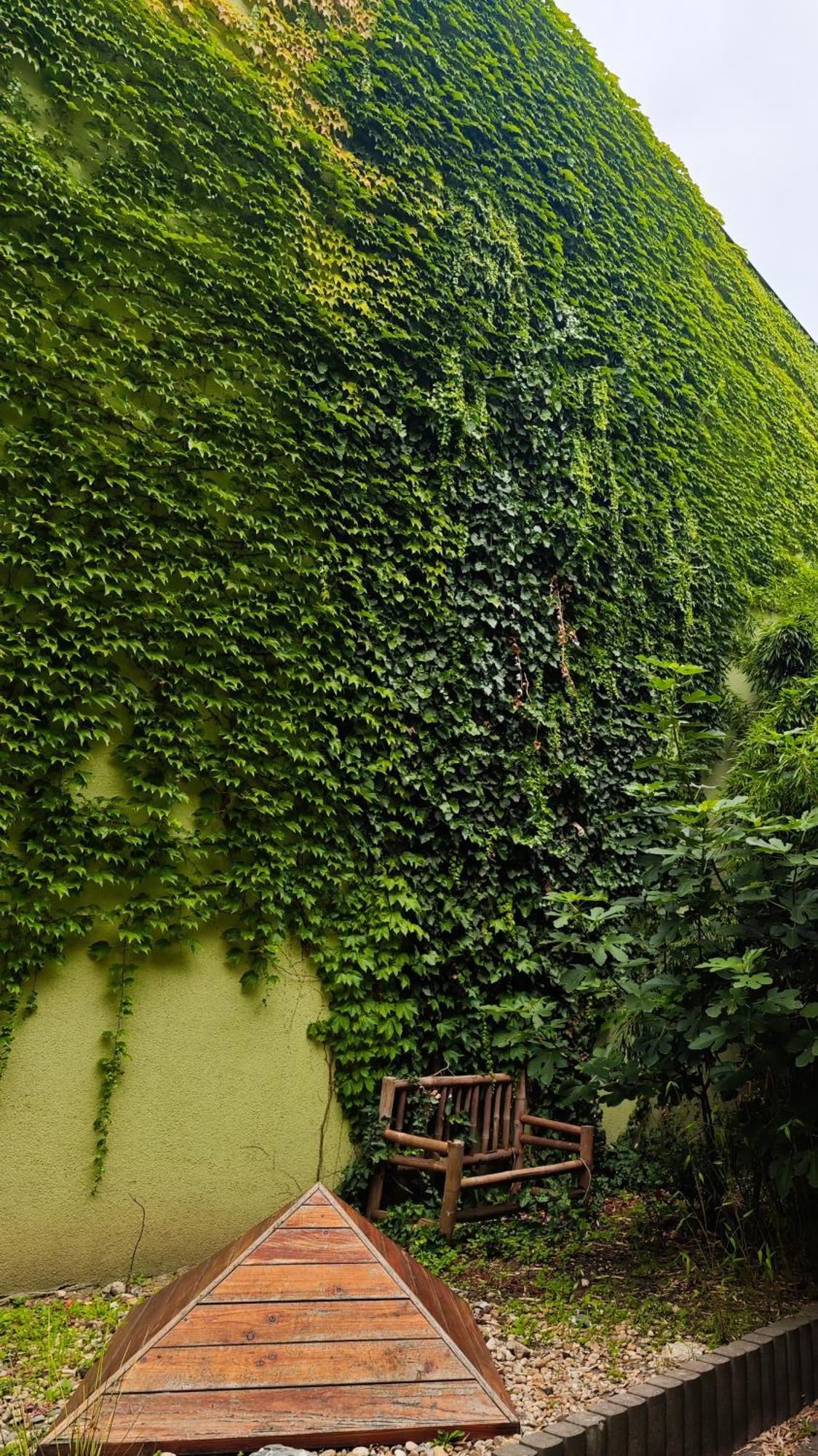 Vintage Room With Garden View Братислава Экстерьер фото
